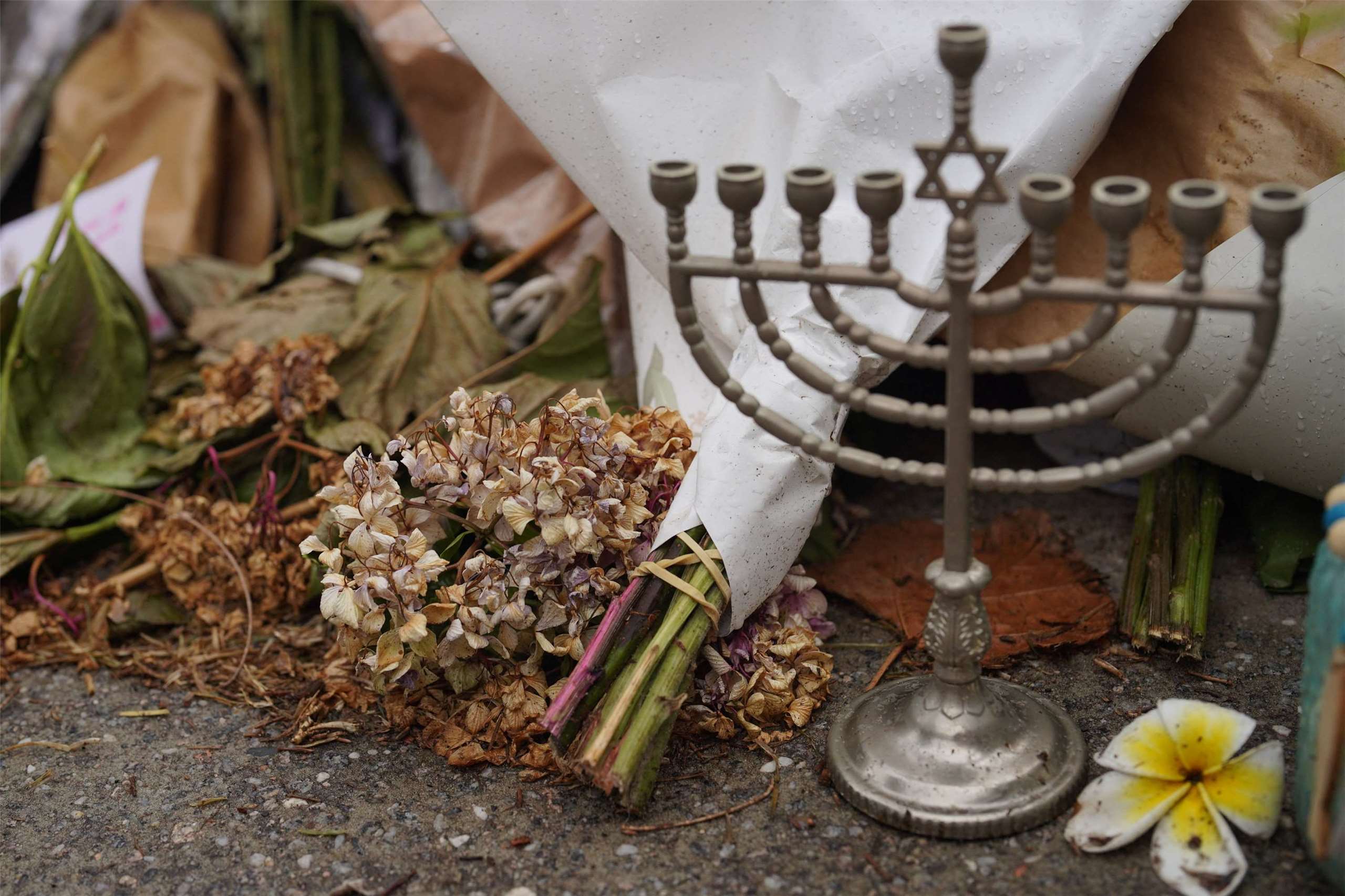 一輛安裝慶祝猶太光明節(Hanukkah)標誌的汽車在墨爾本被縱火後，澳洲政府表態將追查。圖為猶太光明節(Hanukkah)的燭台標誌，示意圖。(路透社/達志影像)