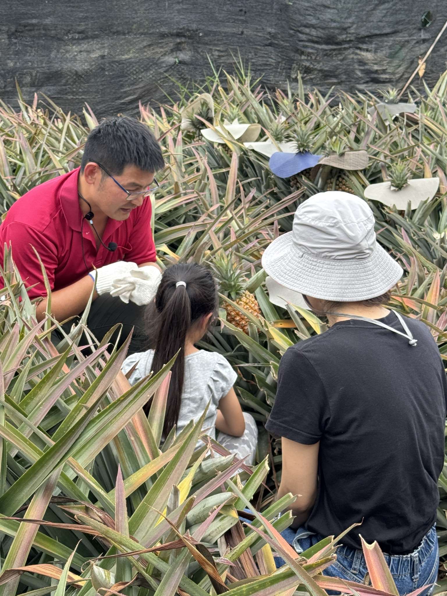 本照片由莊毅冠提供