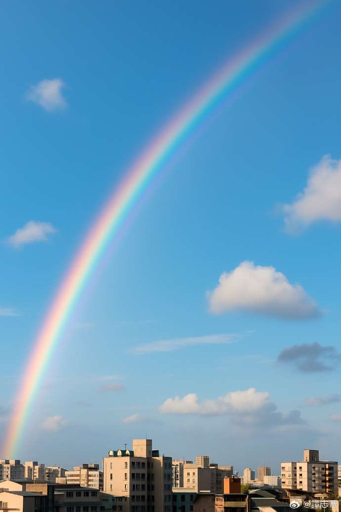 七道彩虹的愛與傷
