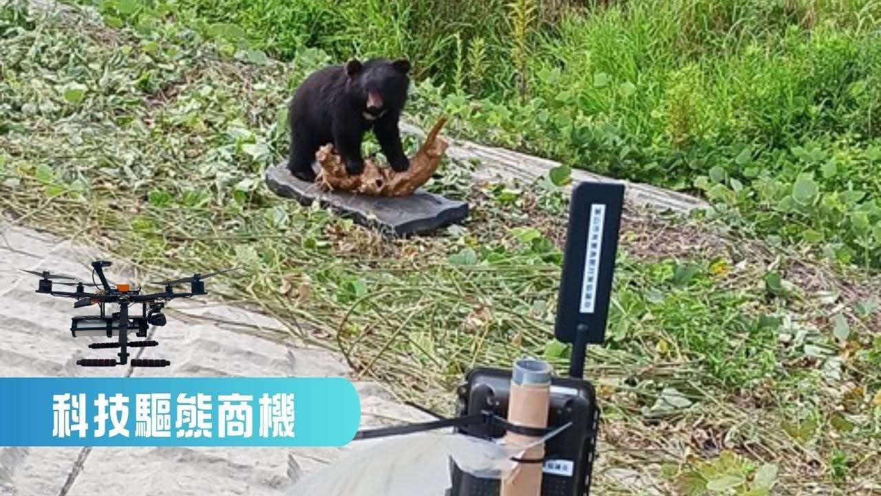 臉書、YT直播：熊鈴響起！熊排火鍋泡溫泉，日本東北旅遊該怕熊害嗎？