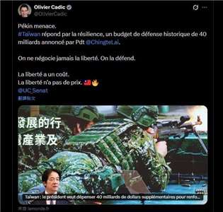法國參議員卡迪克在社群發文表示，台灣以韌性及賴清德總統宣布的400億美元國防預算，來回應北京威脅。(X平台)