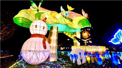 谷關燈光節熱情登場  本照片轉載自參山國家風景區管理處官網