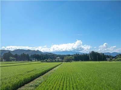 日本擬建資料庫，統一管理外國人取得日本土地的方式與相關狀況。(示意圖/pakutaso)
