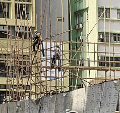 香港宏福苑大火釀重大傷亡，引起各界對使用竹子搭建大樓工作棚（鷹架）的討論。

