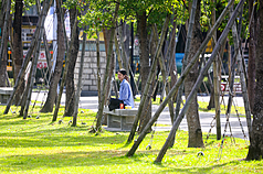 中央氣象署5日表示，未來兩天漸回溫，7日西半部白天高溫25到27度；8、9日東北季風將增強。 (圖：中央社)