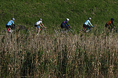 白天北部天氣舒適，大台北地區多雲時晴，民眾趁著假日好天氣在河濱公園騎腳踏車。