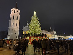 維爾紐斯的耶誕樹以創意的主題設計與濃厚的節慶氛圍聞名。今年的耶誕樹是高達20公尺的天然雲杉樹。