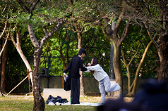 天氣舒適 ，華山文創園區大草皮上， 民眾把握好天氣到戶外活動。資料照片。