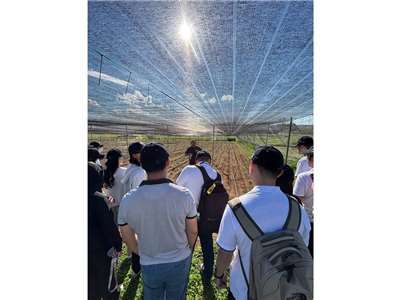外交部農業青年大使新南向交流計畫完成澳洲參訪活動。圖為團員與台籍農場經營者互相交流 (外交部提供)
