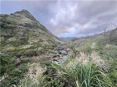 三安社區芒花開   本照片由吳麗君理事長提供