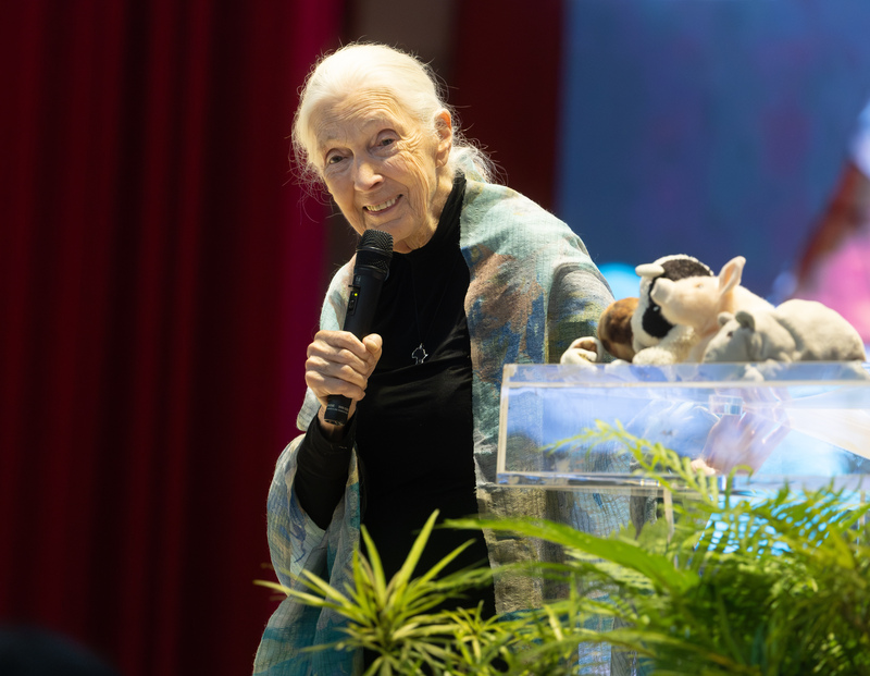 DD
珍古德演講「透過行動點燃希望」（1）
國際知名保育專家珍古德（Jane Goodall）（圖）8日
下午在台北出席「透過行動點燃希望」演講活動，分
享她的行動歷程，探討生態保育與永續發展等議題。
中央社記者謝佳璋攝  114年6月8日
