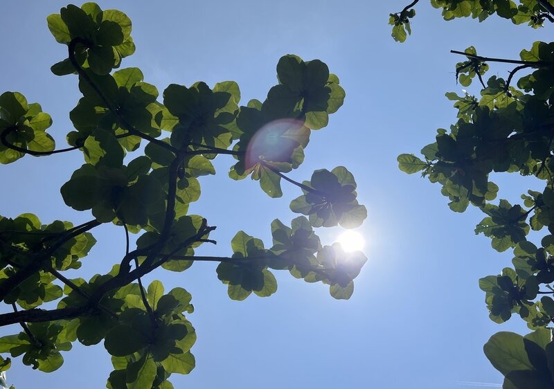 中央氣象署表示，今天(21日)是二十四節氣的「夏至」，全台各地為多雲到晴、高溫炎熱的天氣。(圖：中央社)