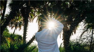 沙烏地阿拉伯「新未來城」（NEOM）旗下子公司與自願性碳市場公司簽訂協議，盼2030年前交付逾3000萬公噸的碳權額度。(示意圖/FB@NEOM)