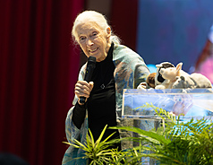 DD
珍古德演講「透過行動點燃希望」（1）
國際知名保育專家珍古德（Jane Goodall）（圖）8日
下午在台北出席「透過行動點燃希望」演講活動，分
享她的行動歷程，探討生態保育與永續發展等議題。
中央社記者謝佳璋攝  114年6月8日

