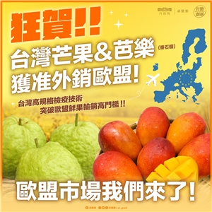 台灣生產的芒果和芭樂進軍歐洲， 行政院長卓榮泰社群發文慶賀。(卓榮泰臉書)