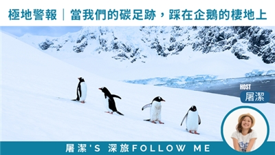 南極最後機會旅遊
極地警報｜當我們的碳足跡，踩在企鵝的棲地上
