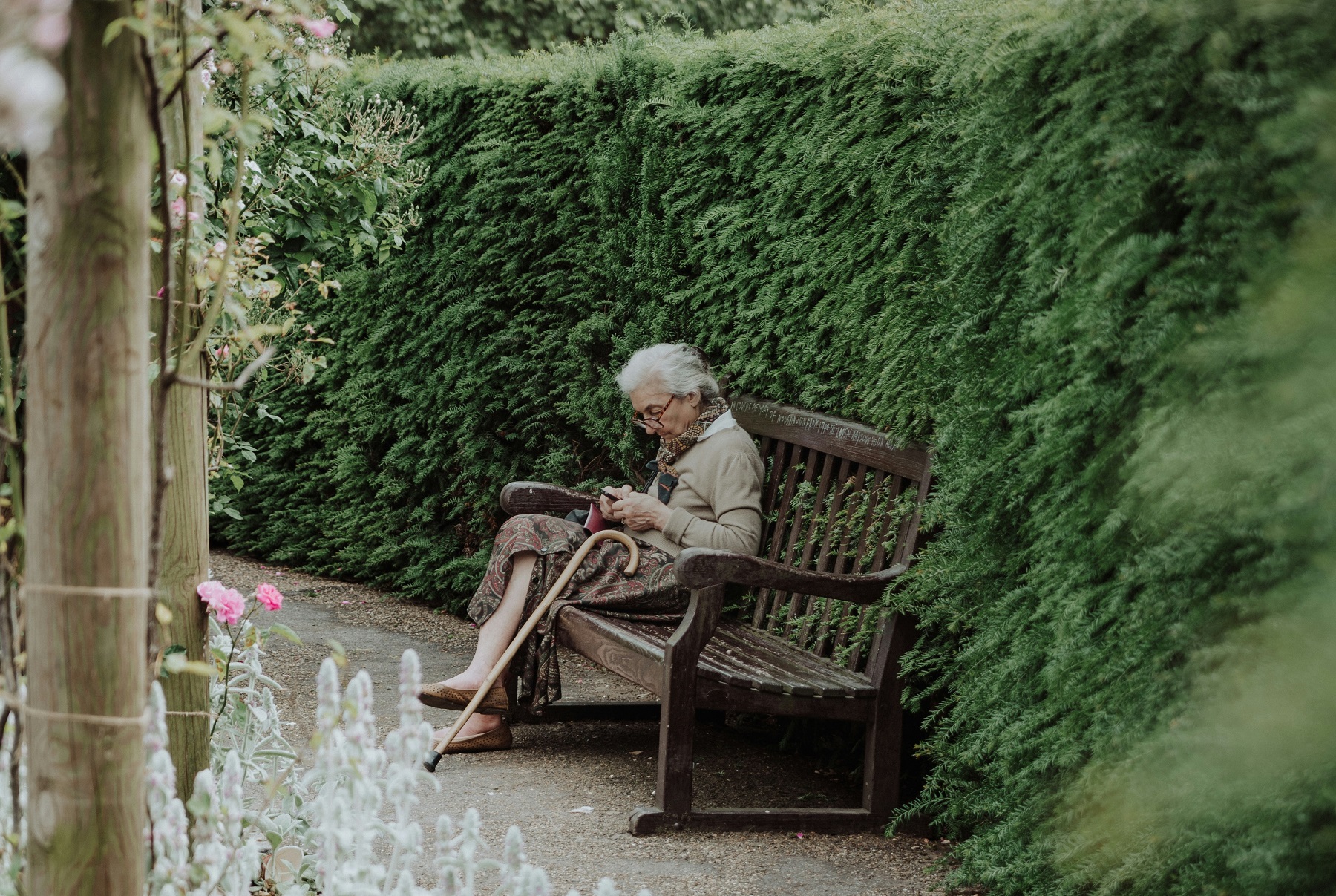 日本厚生勞動省25日指出，2024年日本女性平均壽命為87.13歲，在各國公布的相關數據之中為全球之冠，且是連續第40年位居榜首。示意圖。 (圖：unsplash)