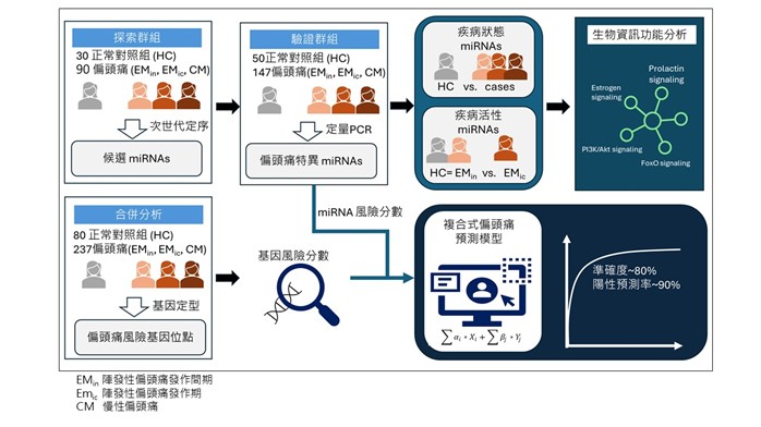 偏頭痛「血液預測模型」。(北榮提供)
