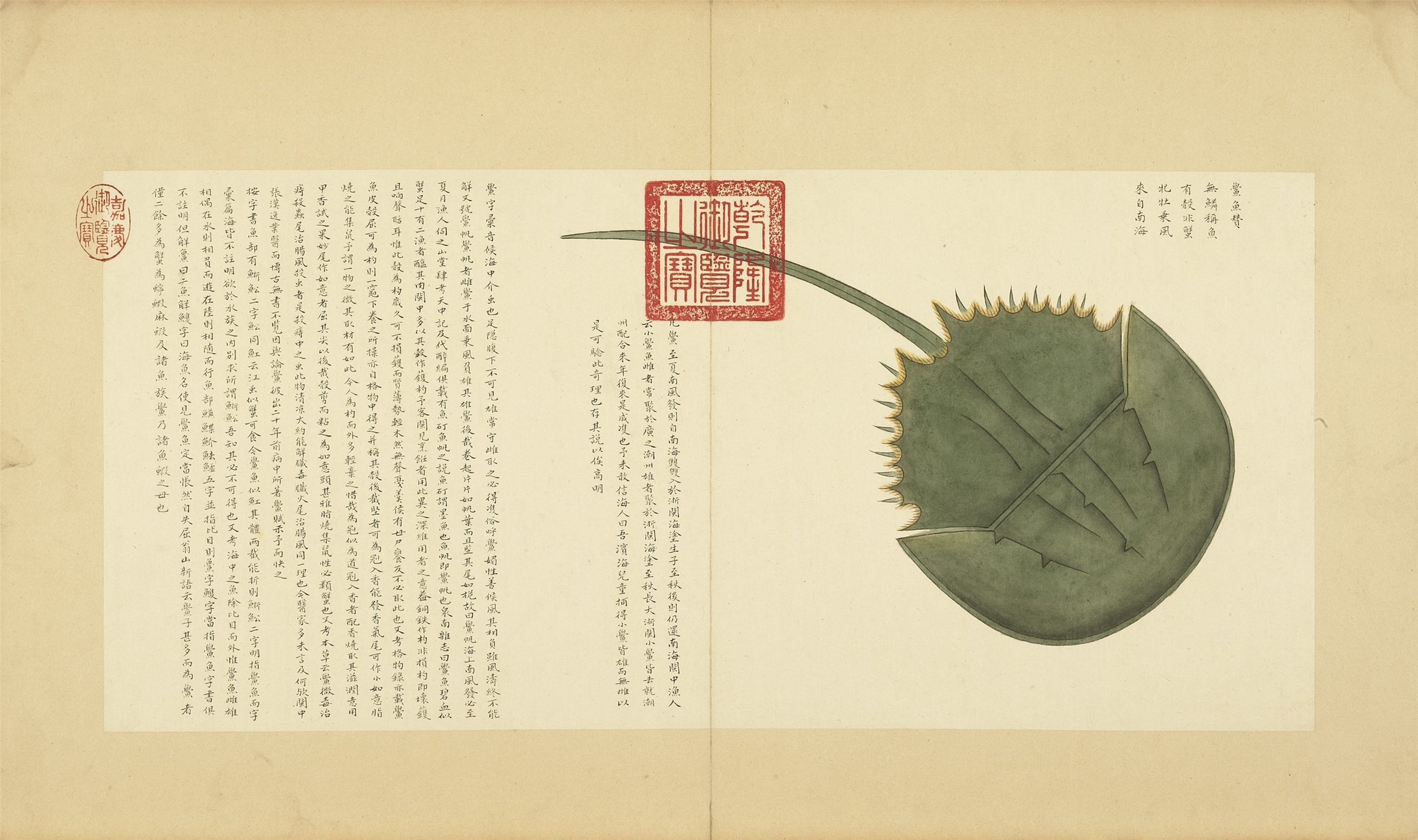 清代的海洋生物圖鑑─海錯圖（圖像來源：國立故宮博物院）