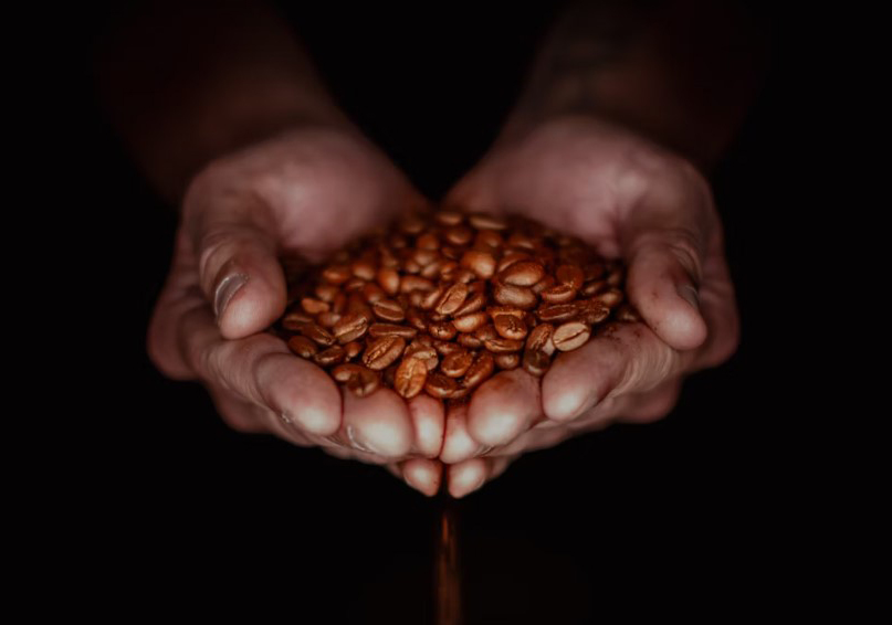 咖啡豆 (示意圖/Unsplash)