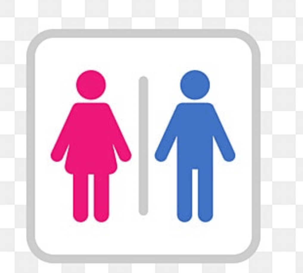 世界如廁文化面面觀