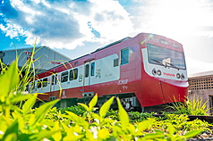 TD
「嗶嗶嗶嗶台灣號」車頭
台鐵為EMU700型電聯車換裝4日在台鐵樹林車站亮相
首航，復刻了日本「嗶嗶嗶嗶台灣號」主題彩繪列車
的紅色塗裝，圖為著名經典的列車車頭。
（觀光署東北角風管處提供）
中央社記者黃旭昇新北傳真 114年7月4日
