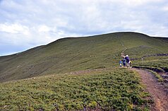 內政部呼籲，民眾進入國家公園生態保護區一定要依法申請入園許可，請民眾一起維護山林環境與登山秩序，落實負責任登山。 (示意圖：中央社)