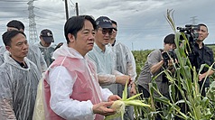颱風丹娜絲重創雲林縣農業，總統賴清德（前中）10日親自南下雲林縣勘災，要求農業部秉著同理心，從優、從速、從寬、從簡給予現金救助。
