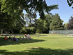 蘇黎世市府計畫持續植樹，增加住宅區的樹蔭比率，在酷熱中增加涼蔭，可有效減少都市熱島效應。
