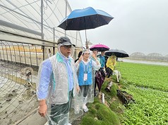 嘉義縣新港鄉蔬菜產區之前受颱風丹娜絲侵襲，近期才復耕，卻又遭受豪雨影響，多處田區淹水，農業部次長黃昭欽（左）28日視察受災情形。（農業部提供）

