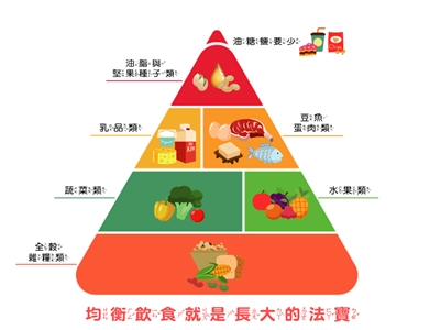 營養素金字塔(董氏基金會食品營養中心)