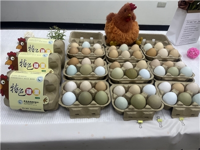 各種有色雞蛋。(圖/陳林幸虹 攝) 