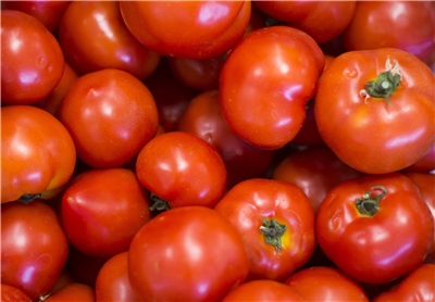 美國宣布對墨西哥番茄課徵17%關稅。示意圖。 (圖:pixabay)