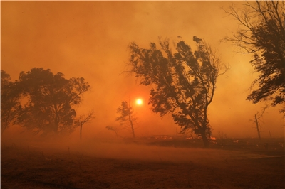 希臘已連續2天與野火搏鬥，目前捷克消防人員已在協助滅火，義大利派出的2架飛機也即將抵達。(AFP)