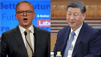 外媒報導，澳洲總理艾班尼斯(左)15日預計在北京和中國國家主席習近平(右)會面。資料合成照。(美聯社/達志影像)