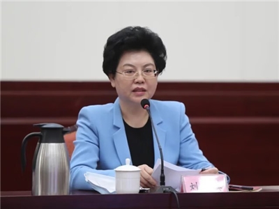 中國前寧夏自治區政府主席劉慧。(圖：微博)