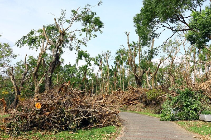 颱風丹娜絲重創嘉義市。圖為市府清理市區的公園綠地。
（嘉義市政府提供）