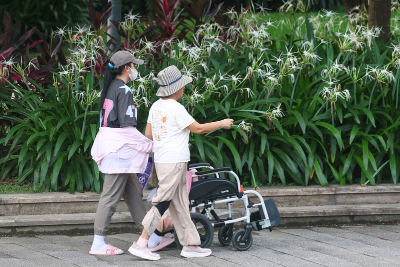 80歲以上聘請外籍看護免評巴氏量表新制已於8月1日上路。圖為台北市中山區一處公園內移工與雇主一同散步活動。資料照。
