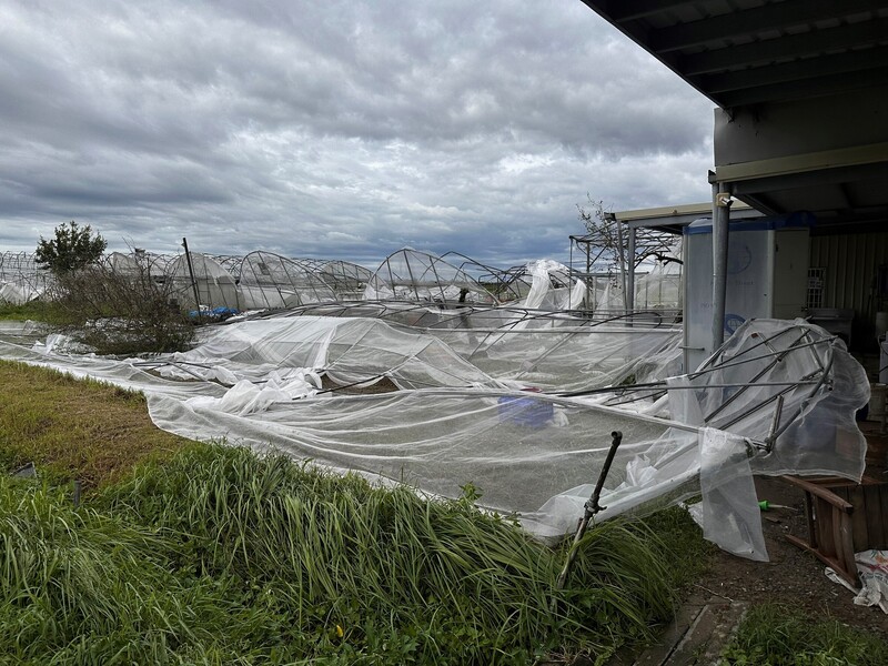颱風丹娜絲重創雲嘉南地區。圖為台南市蓮心園庇護農藝工場的溫網室因颱風嚴重受創。(勞動部提供)