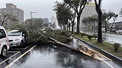颱風楊柳有減弱及縮小趨勢，中央災害應變中心13日表示，統計至晚間8時，颱風造成1人失蹤、112人受傷，其中台南、高雄、台東受傷人數都增加10人以上。 (圖：中央社)