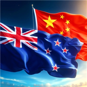 紐中關係。示意圖。(AI生成圖)