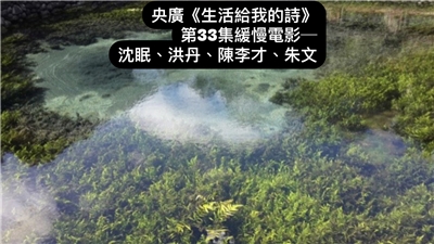 詩人、導演鴻鴻  談 「緩慢電影—沈眠、洪丹、陳李才、朱文」