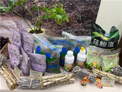 台中農改場開發微生物應用技術，篩選出地衣芽孢桿菌TCLigB、木黴菌TCT-P001以及木黴菌TCT768等3支菌株，目前都已經技轉且商品化。(陳林幸虹 攝)