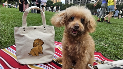 全台家貓家犬達279萬隻，二手菸、三手菸對毛小孩健康危害大。(劉品希 攝)