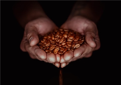 咖啡豆 (示意圖/Unsplash)