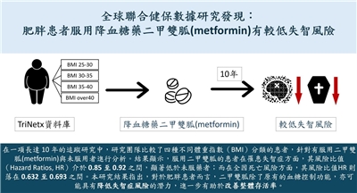 台北醫學大學最新研究發現，對於肥胖病人而言，長期使用糖尿病處方用藥「二甲雙胍」可望顯著降低10%罹患失智症、30%整體死亡率風險。(台北醫學大學提供)