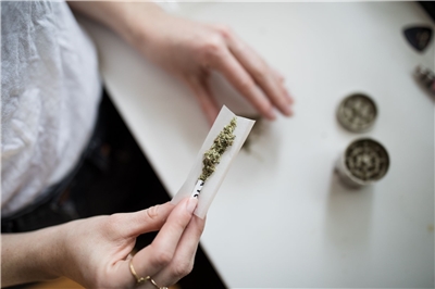 大麻。示意圖。(Unsplash圖庫)「保護自己、遠離毒品」
