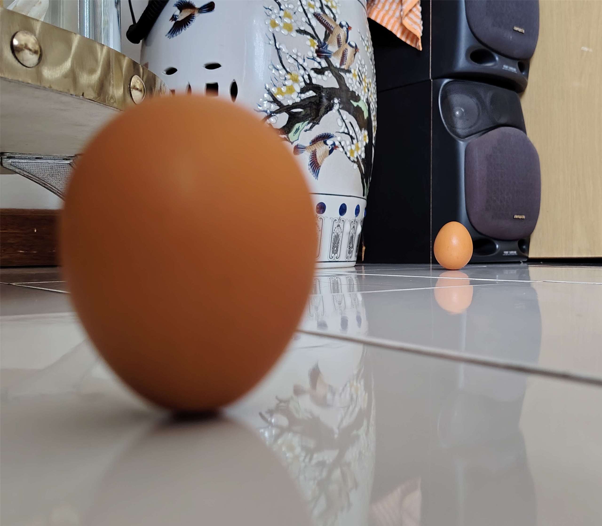 汶萊聽友林妙恩在二十四節氣「秋分」立蛋成功