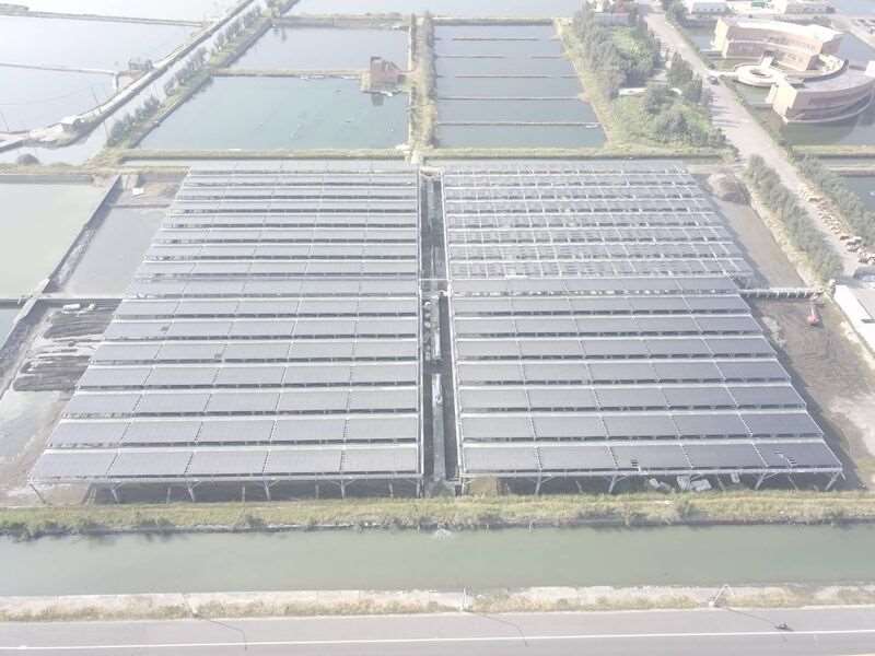 經濟部能源署8日表示，漁電共生推動以「養殖為本、綠電加值」為原則，若經查核養殖狀況不佳，漁業署將與地方政府合作，協助輔導案場落實養殖事實，改善未果將廢止設置許可。（示意圖／農業部提供）