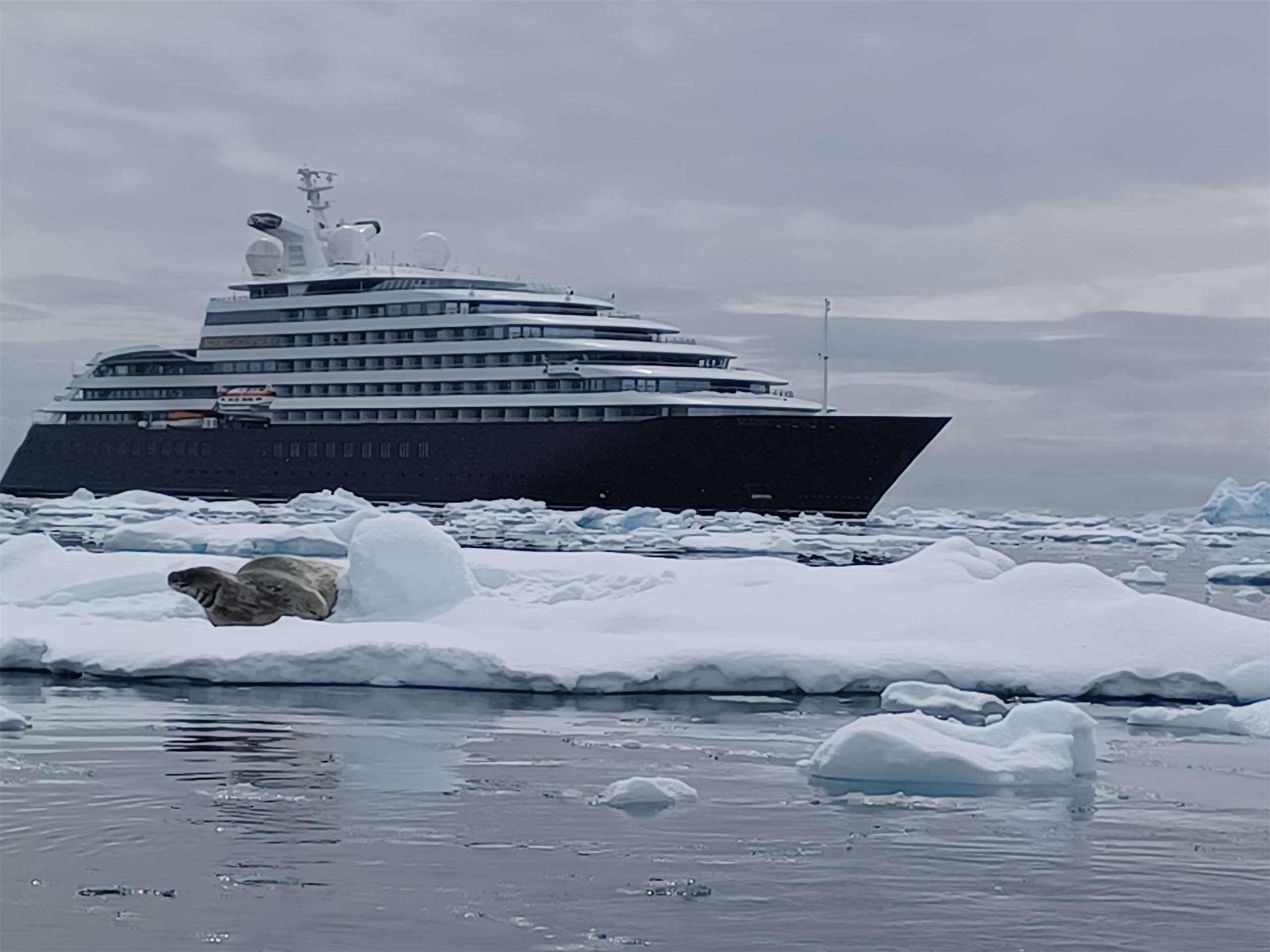 澳洲詩寧集團(Scenic Group)的極地探險船 Eclipse 日前首度以元本旅遊使用的中文譯名「日月合朔號」，取代中國市場原本的直白稱號，作為全球統一的中文名稱。(元本旅遊提供)